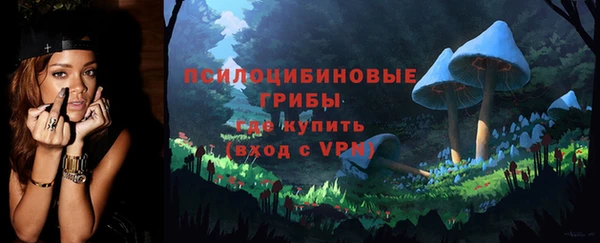гашик Козловка