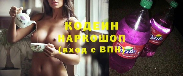 гашик Козловка