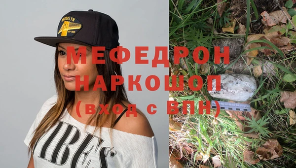 гашик Козловка