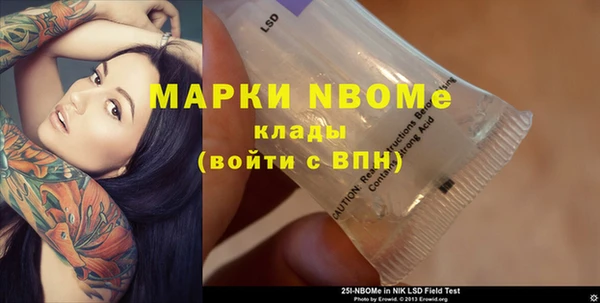 гашик Козловка