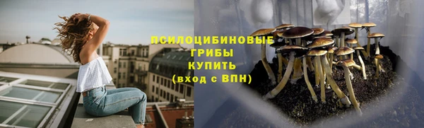 jwh Козельск