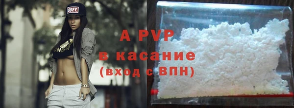 гашик Козловка