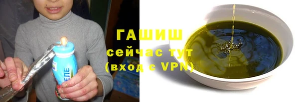 гашик Козловка