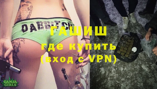 гашик Козловка