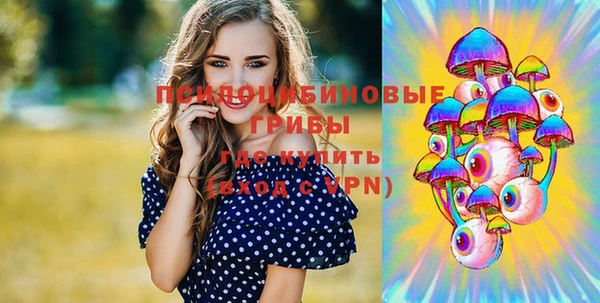 гашик Козловка