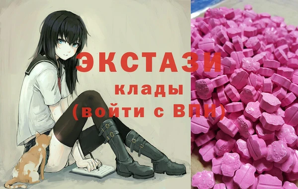 гашик Козловка