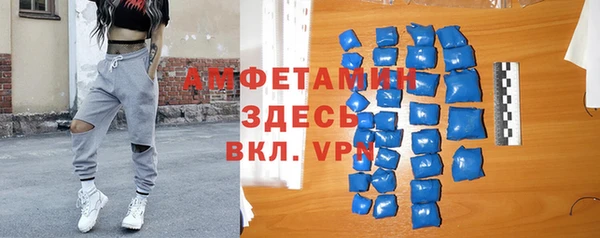 гашик Козловка