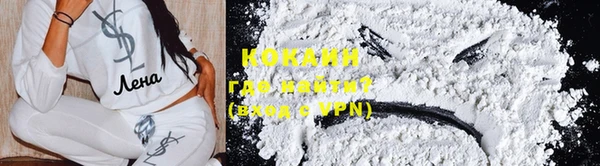 гашик Козловка