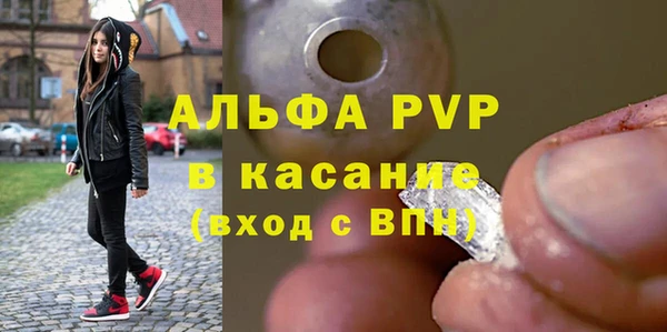 гашик Козловка